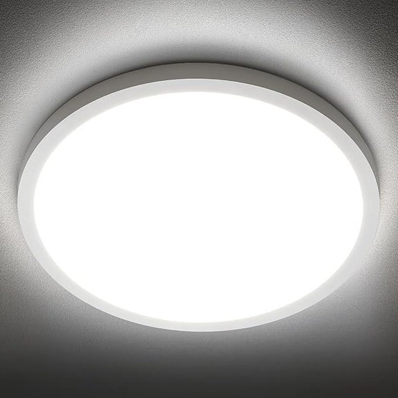 SunRider 12-inch LED Flush Mount Ceiling Light
