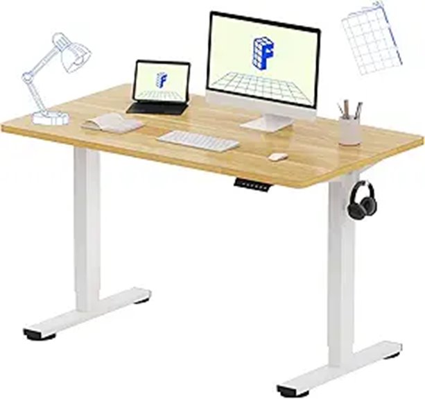 FLEXISPOT EN1 48 Electric Standing Desk