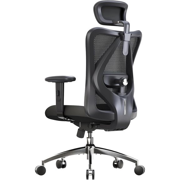 SIHOO M18 Ergonomic Office Chair with Adjustable Features