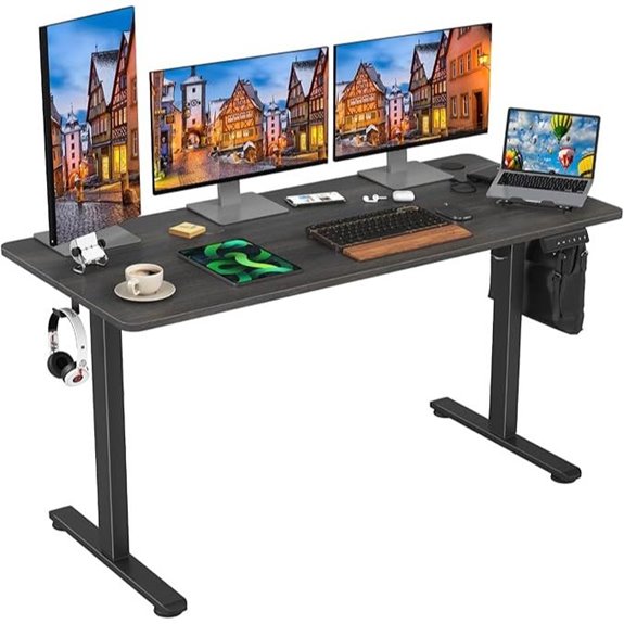 Stary Electric Adjustable Sit-Stand Home Office Desk