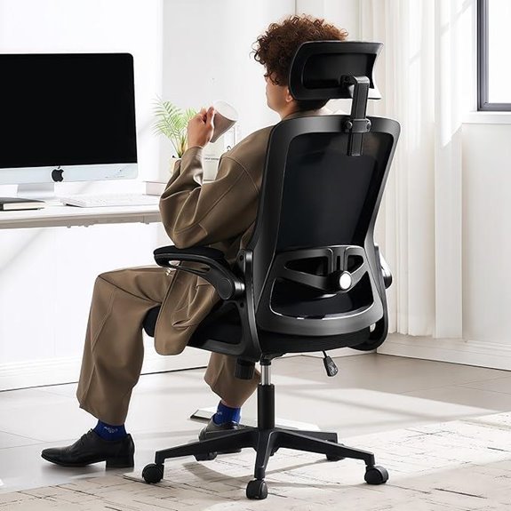 Fizzin Ergonomic Office Chair with Adjustable Lumbar
