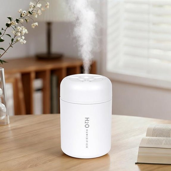 Portable Mini USB Humidifier with Lights