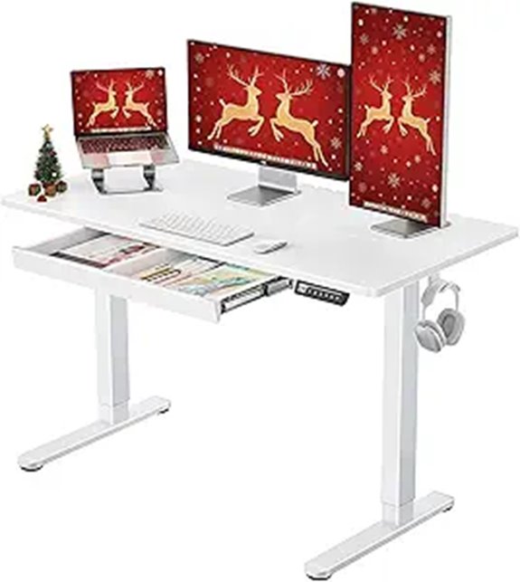 ErGear Electric Standing Desk with Drawers 48x24