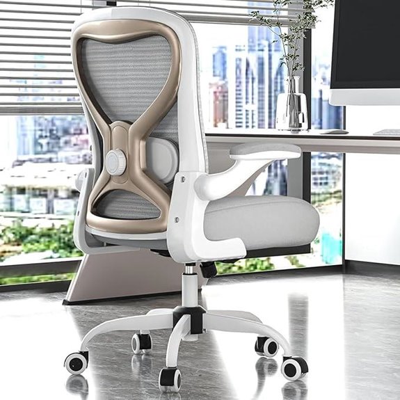 Ergonomic Office Desk Chair with Lumbar Support
