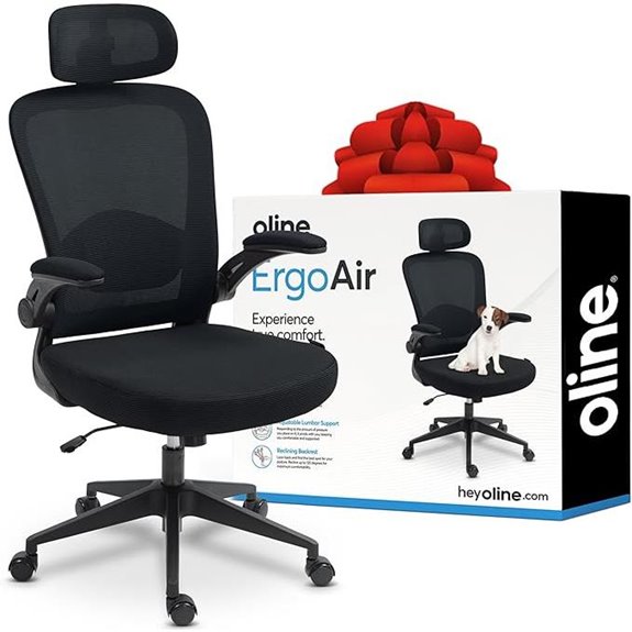 Oline ErgoAir Ergonomic Office Chair with Lumbar Support