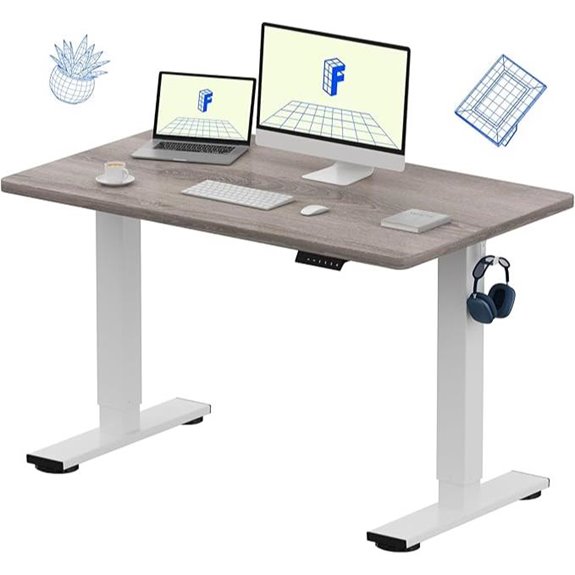 FLEXISPOT EN1 48 Electric Standing Desk Gray