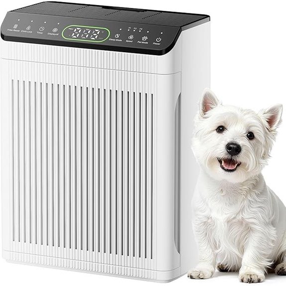 EVALIT Large Room Air Purifier with Filters