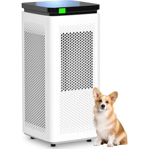 Large Room Air Purifier with H13 HEPA Filter