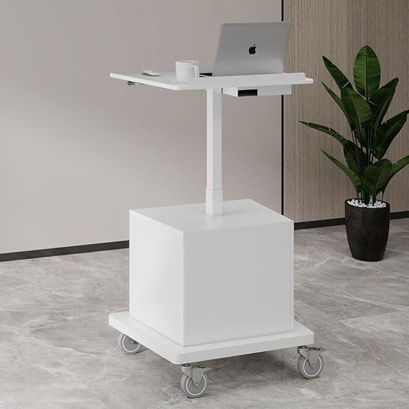 Natwind Mobile Workstation Rolling Laptop Cart