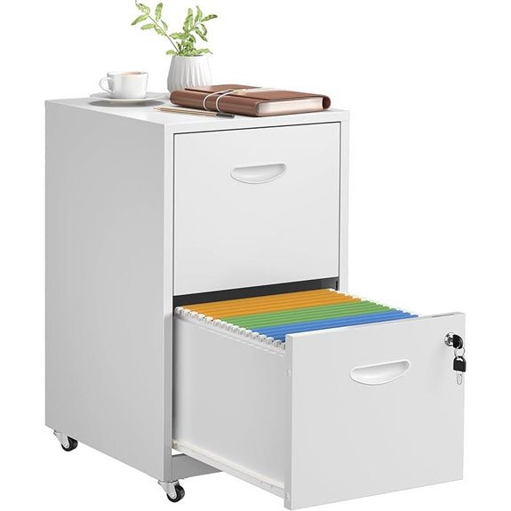 2-Drawer Locking Mobile Metal File Cabinet