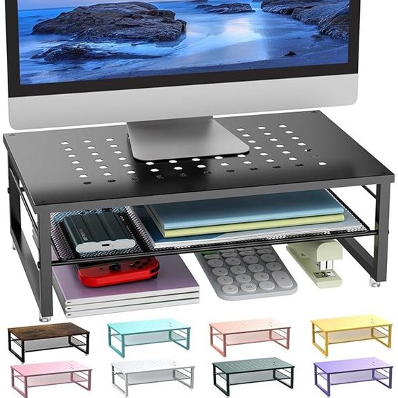 Gianotter 2-Tier Metal Monitor Desk Organizer