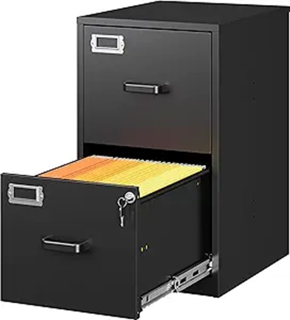 SISESOL 2-Drawer Locking Vertical File Cabinet