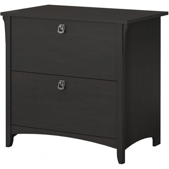 Bush Salinas 2-Drawer Vintage Black File Cabinet