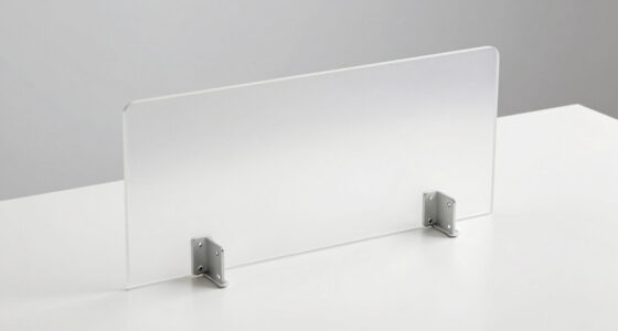 11 Best Desk Privacy Panel for Shared Room in 2026