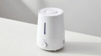 11 Best Humidifier for Dry Home Office Air in 2026