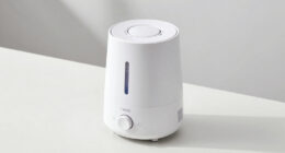 11 Best Humidifier for Dry Home Office Air in 2026