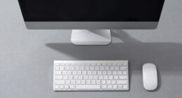 6 Best Monitor for Long Hours No Flicker in 2026