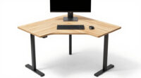 8 Best Best Corner Standing Desk Electric in 2026