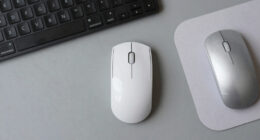 8 Best Best Thumb Trackball Mouse Premium in 2026