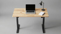 9 Best 48 Inch Standing Desk for Apartment in 2026