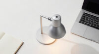 9 Best Color Temperature Adjustable Desk Lamps in 2026