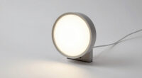 9 Best Daylight Lamps for Seasonal Office Fatigue in 2026