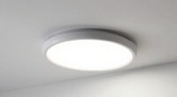 9 Best Overhead Office Light for Home Room in 2026
