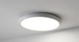 9 Best Overhead Office Light for Home Room in 2026
