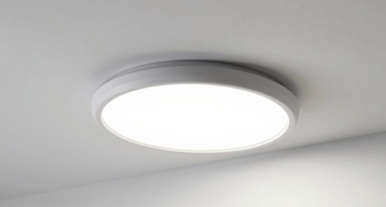 9 Best Overhead Office Light for Home Room in 2026