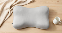15 Best Ergonomic Lumbar Support Pillows in 2026