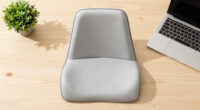 15 Best Ergonomic Seat Cushions in 2026