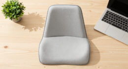 15 Best Ergonomic Seat Cushions in 2026
