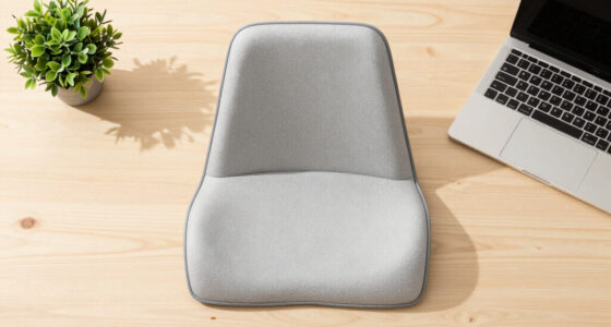 15 Best Ergonomic Seat Cushions in 2026