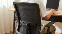 10 Best Ergonomic Chair Lumbar Support in 2026