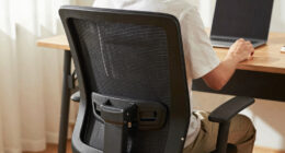 10 Best Ergonomic Chair Lumbar Support in 2026