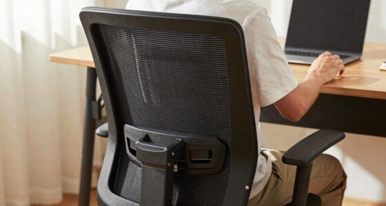 10 Best Ergonomic Chair Lumbar Support in 2026
