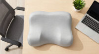 15 Best Ergonomic Lumbar Support Pillow in 2026