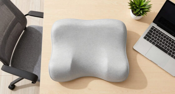 15 Best Ergonomic Lumbar Support Pillow in 2026