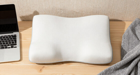 15 Best Ergonomic Lumbar Support Pillows in 2026