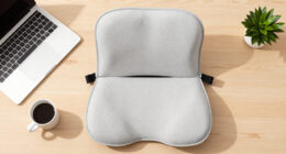 15 Best Ergonomic Office Chair Cushions in 2026