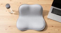 15 Best Ergonomic Lumbar Support Cushions in 2026